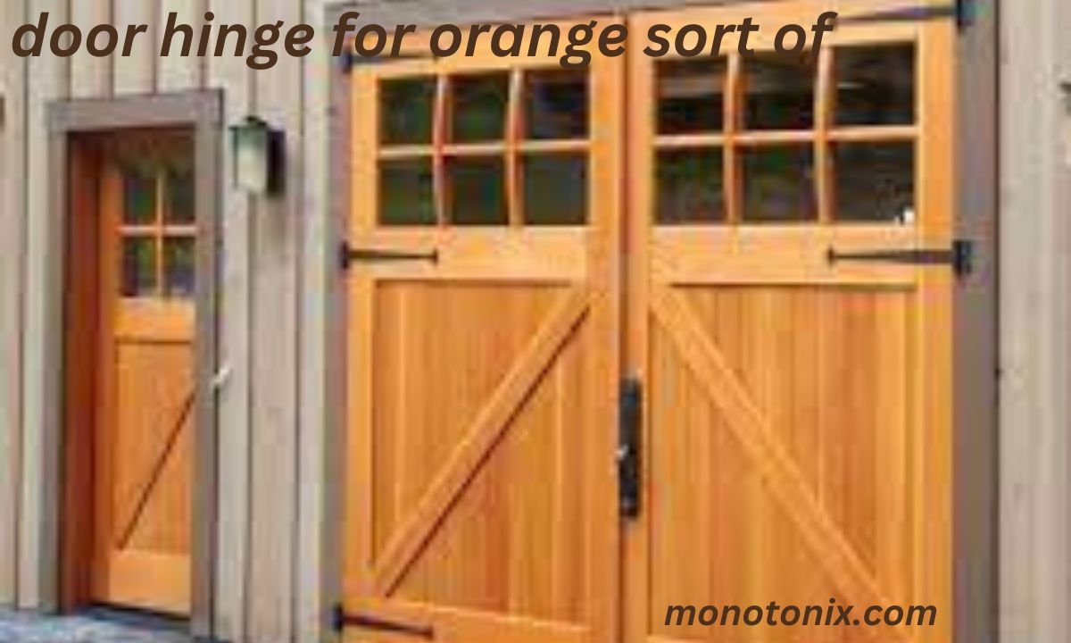 door hinge for orange sort of