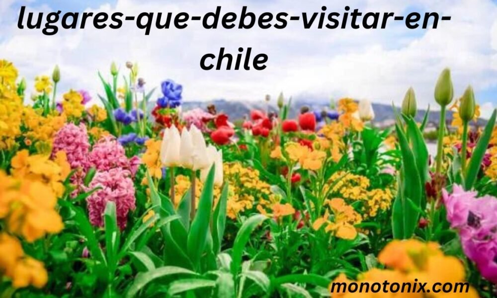 https://notipostingt.com/2022/04/13/4-lugares-que-debes-visitar-en-chile