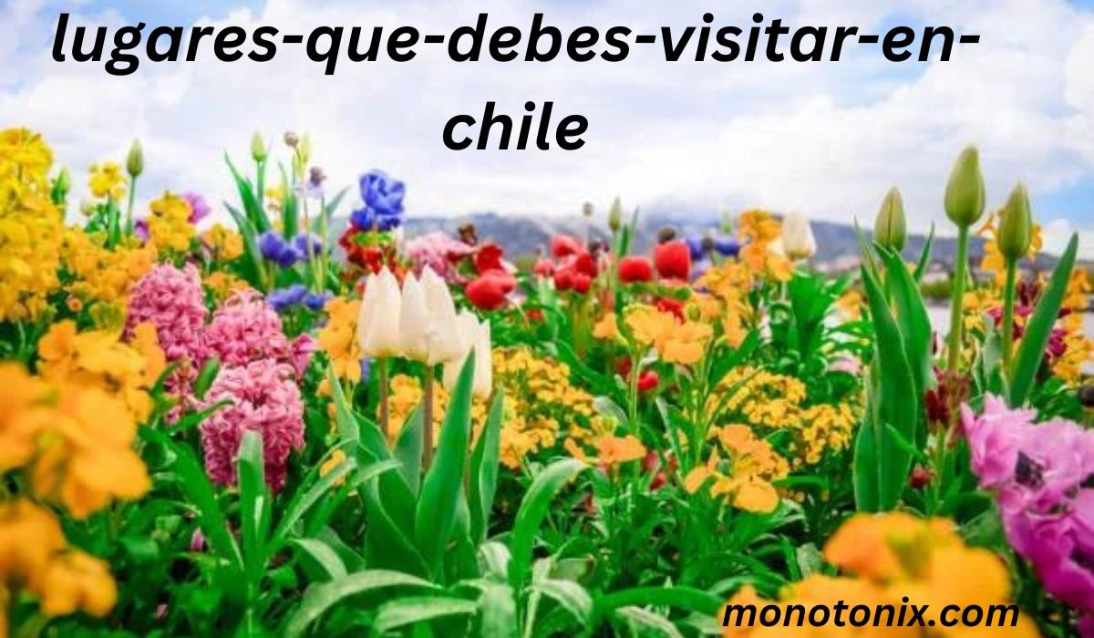 https://notipostingt.com/2022/04/13/4-lugares-que-debes-visitar-en-chile